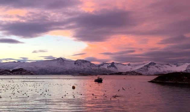 Colors Of The Polar Night In Tromso